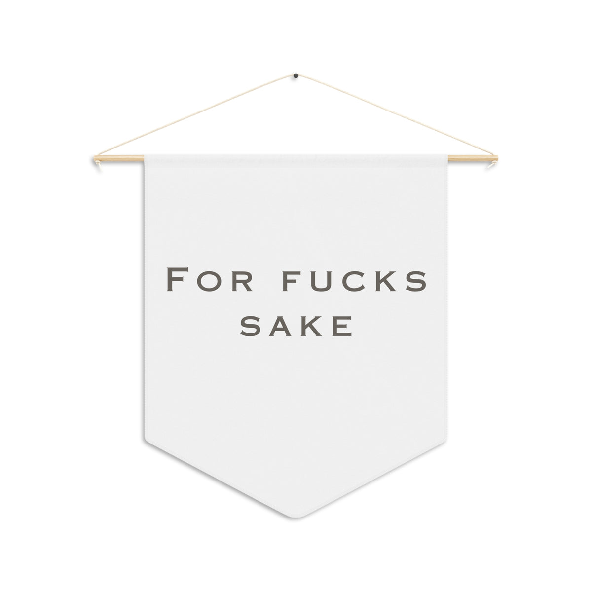 For Fucks Sake Pennant - Funny Minimalist Wall Banner